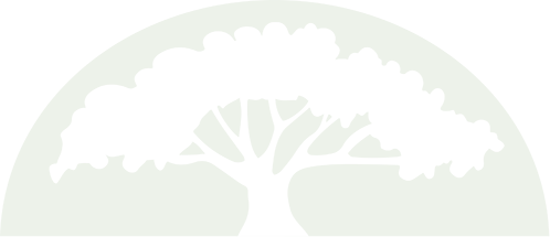 Logo Cundiff Town and Country Tree Service in Beavercreek, OH