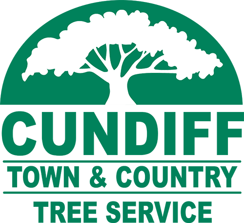 Arborists in Dayton, OH | Cundiff Town and Country Tree Service