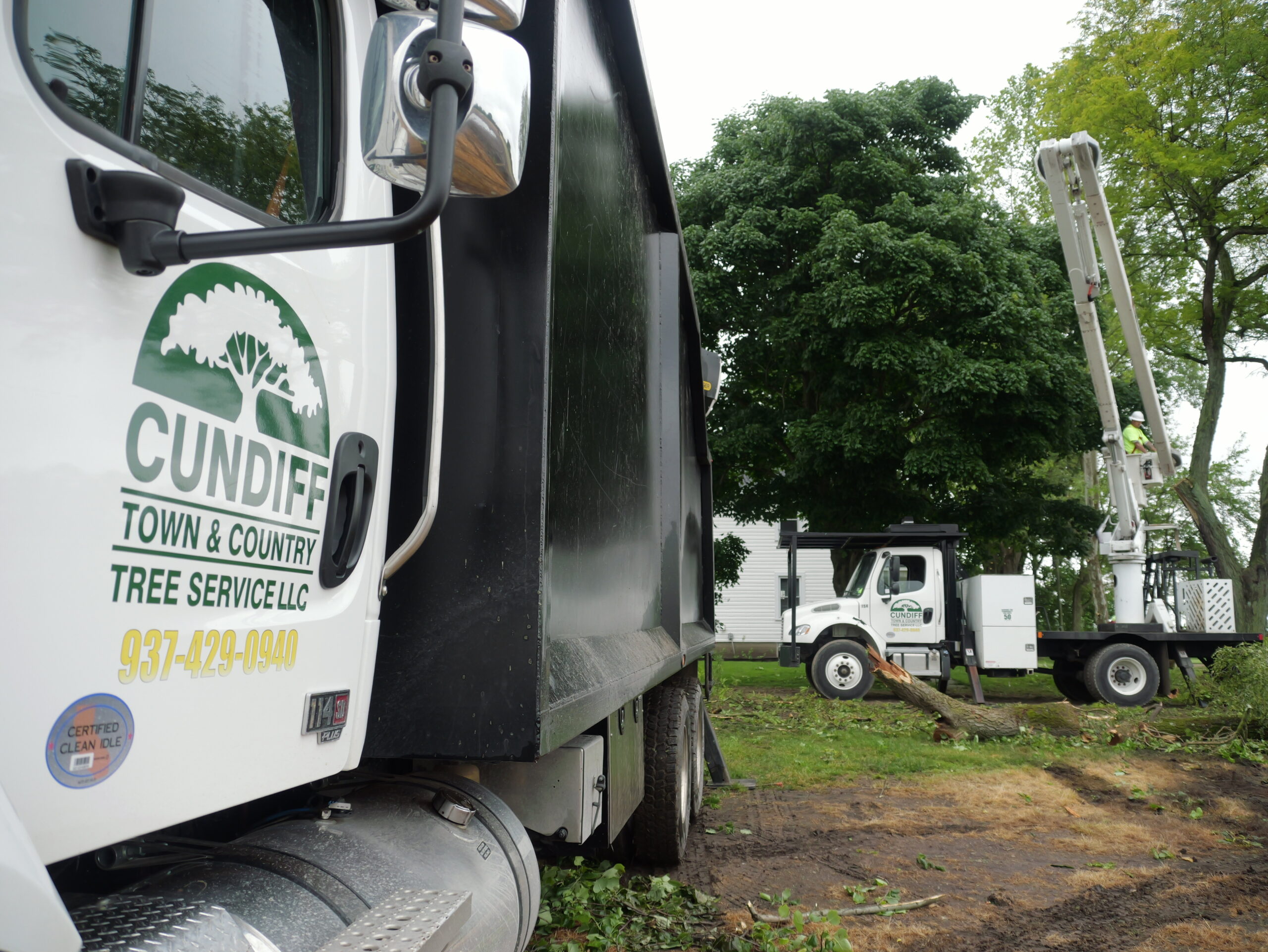 20 Masters in Tree Health and Removal Cundiff Town and Country Tree Service in Beavercreek, OH
