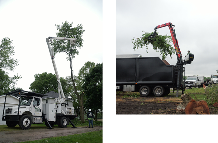 Transforming Landscapes, One Tree at a Time At Cundiff Town and Country Tree Service in Dayton, OH