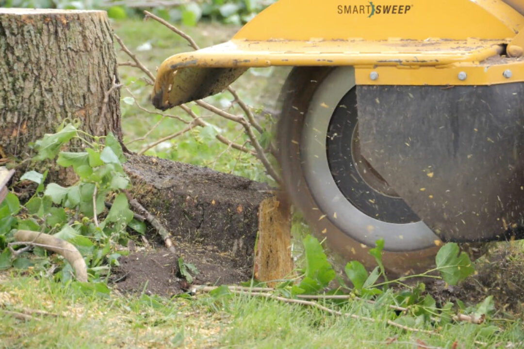 Screenshot_stump_grinder (1) Stump and Root Grinding